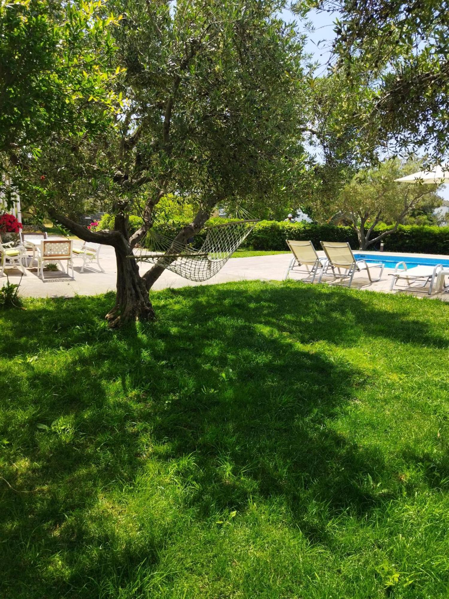 Kassiani Studios Plakias Buitenkant foto